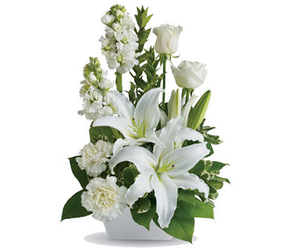 سفارش سبد گل به رنگ سفید