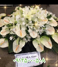 سبد گل رومیزی | سفارش آنلاین سبد گل رومیزی ترحیم (ارسال رایگان)