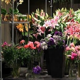 لیست بازارهای گل اصلی تهران